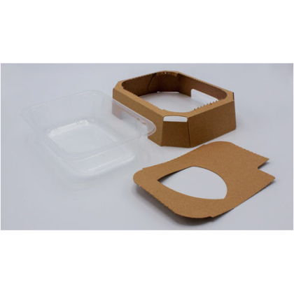 ANL Packaging Turtlebox